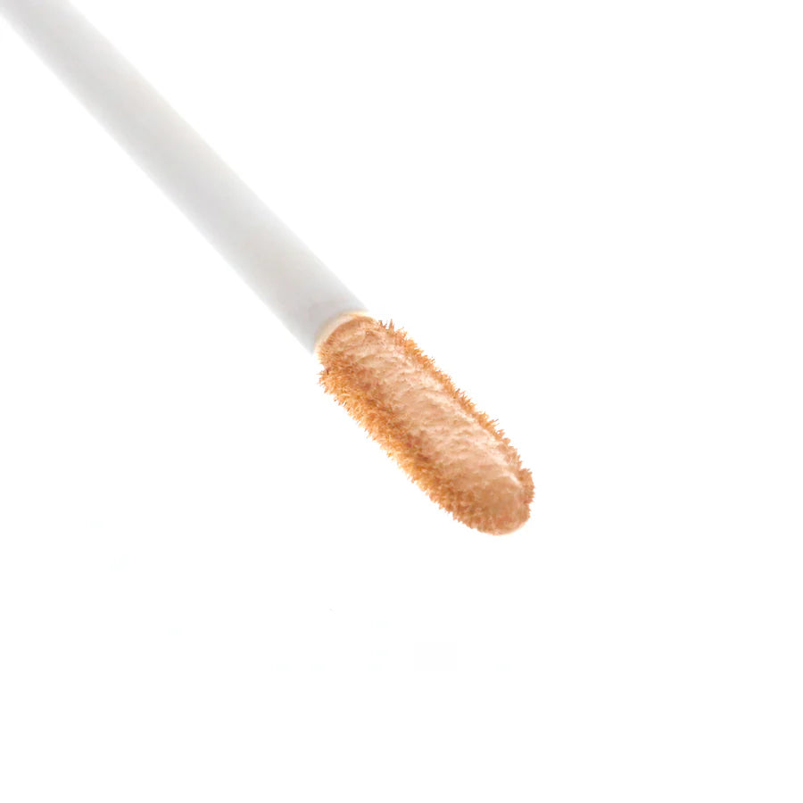Amorus My BFF - Matte Concealer (12 Units)